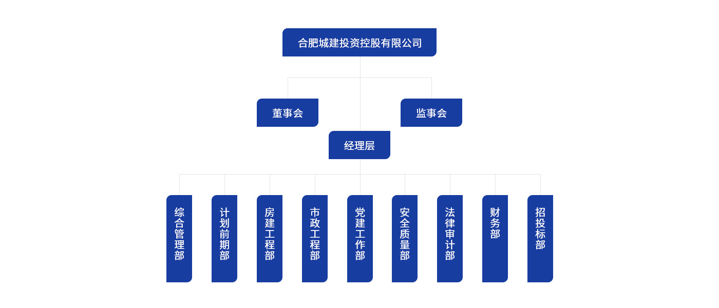 C_合肥城建投资控股有限公司 组织架构图.jpg